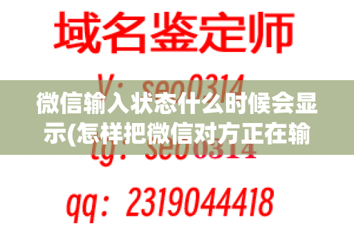 微信输入状态什么时候会显示(怎样把微信对方正在输入关掉)