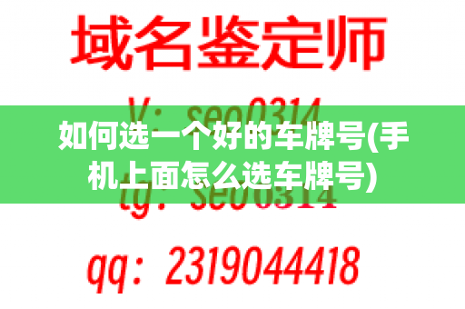 如何选一个好的车牌号(手机上面怎么选车牌号)