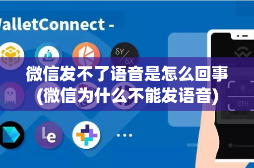 微信发不了语音是怎么回事(微信为什么不能发语音)