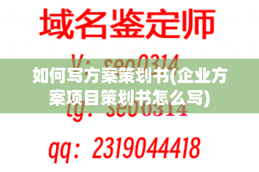 如何写方案策划书(企业方案项目策划书怎么写)