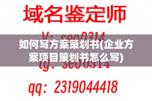 如何写方案策划书(企业方案项目策划书怎么写)