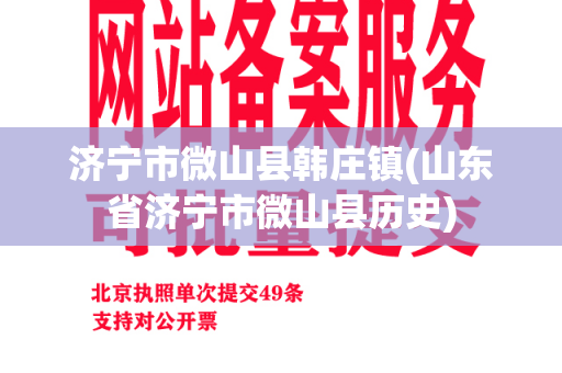 济宁市微山县韩庄镇(山东省济宁市微山县历史)