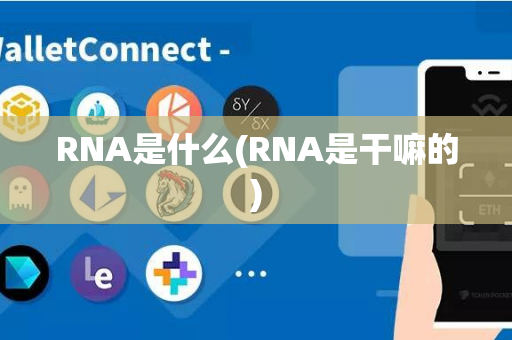 RNA是什么(RNA是干嘛的)