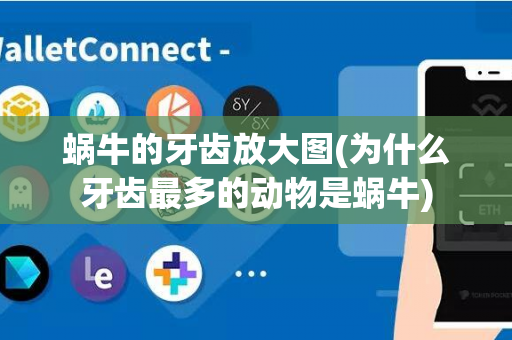 蜗牛的牙齿放大图(为什么牙齿最多的动物是蜗牛)