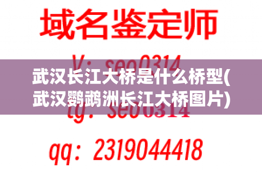 武汉长江大桥是什么桥型(武汉鹦鹉洲长江大桥图片)