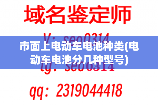市面上电动车电池种类(电动车电池分几种型号)