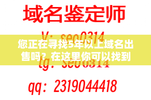 您正在寻找5年以上域名出售吗？在这里你可以找到