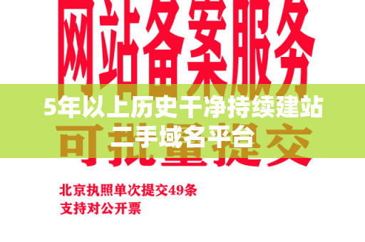 5年以上历史干净持续建站二手域名平台