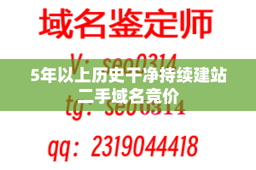 5年以上历史干净持续建站二手域名竞价