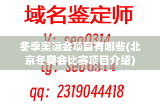 冬季奥运会项目有哪些(北京冬奥会比赛项目介绍)