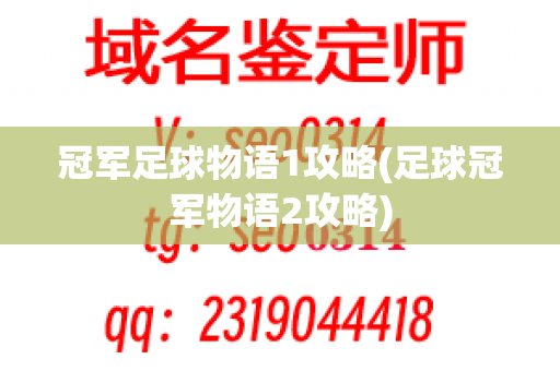 冠军足球物语1攻略(足球冠军物语2攻略)