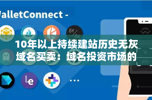 10年以上持续建站历史无灰域名买卖：域名投资市场的新趋势