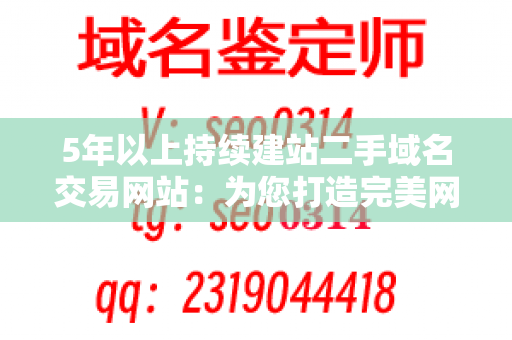 5年以上持续建站二手域名交易网站：为您打造完美网站