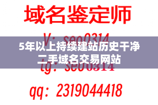 5年以上持续建站历史干净二手域名交易网站