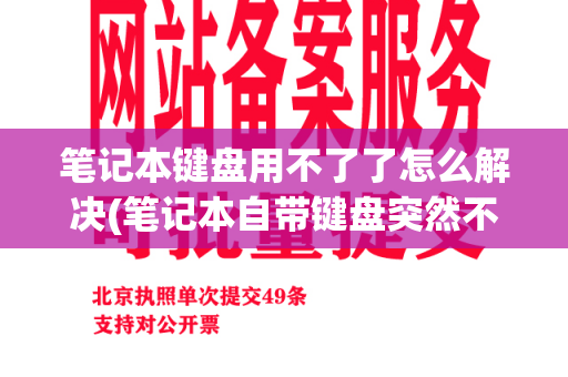 笔记本键盘用不了了怎么解决(笔记本自带键盘突然不能用了)