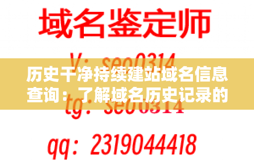 历史干净持续建站域名信息查询：了解域名历史记录的重要性