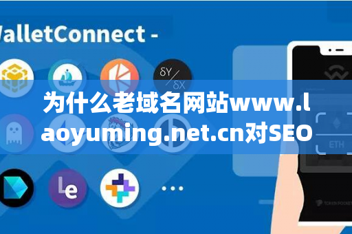 为什么老域名网站www.laoyuming.net.cn对SEO有重要影响