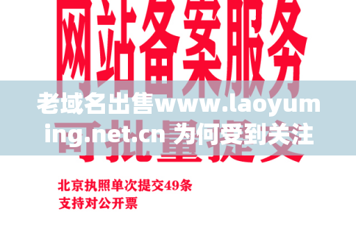 老域名出售www.laoyuming.net.cn 为何受到关注？