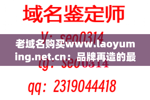 老域名购买www.laoyuming.net.cn：品牌再造的最佳解决方案