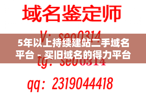 5年以上持续建站二手域名平台 - 买旧域名的得力平台