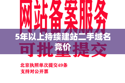 5年以上持续建站二手域名竞价