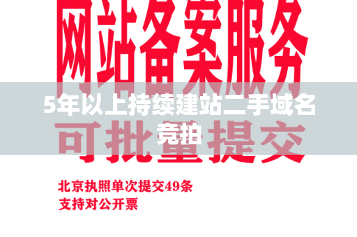 5年以上持续建站二手域名竞拍