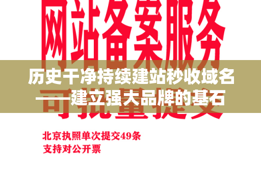 历史干净持续建站秒收域名——建立强大品牌的基石