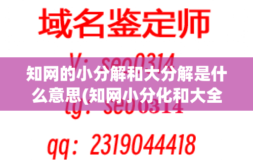 知网的小分解和大分解是什么意思(知网小分化和大全分解的区别)