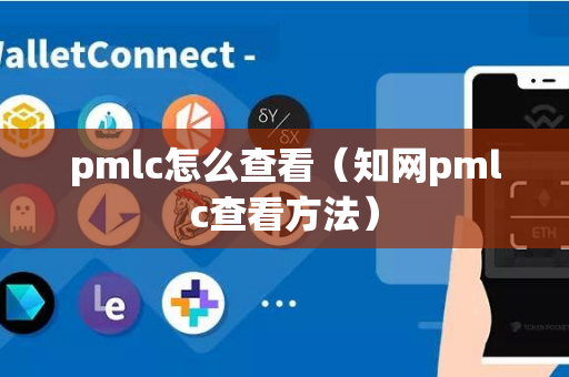 pmlc怎么查看（知网pmlc查看方法）