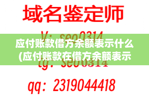 应付账款借方余额表示什么(应付账款在借方余额表示什么)