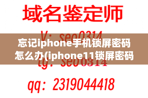 忘记iphone手机锁屏密码怎么办(iphone11锁屏密码忘了怎么解开)