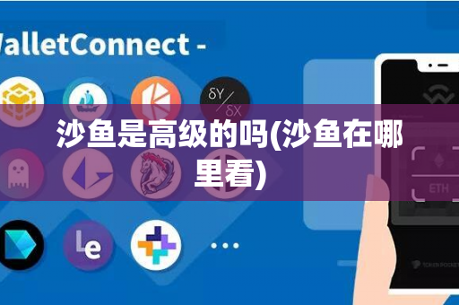 沙鱼是高级的吗(沙鱼在哪里看)