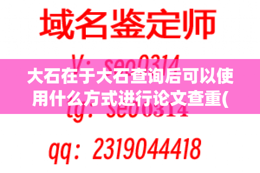 大石在于大石查询后可以使用什么方式进行论文查重(大石无限论文