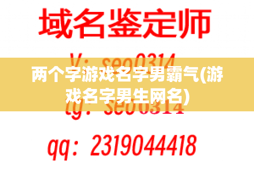 两个字游戏名字男霸气(游戏名字男生网名)