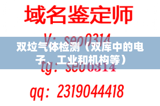 双垃气体检测（双库中的电子、工业和机构等）