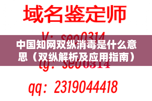 中国知网双纵消毒是什么意思（双纵解析及应用指南）