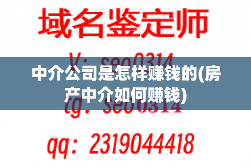 中介公司是怎样赚钱的(房产中介如何赚钱)