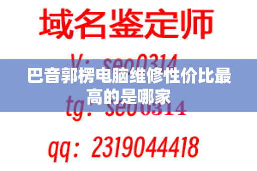 巴音郭楞电脑维修性价比最高的是哪家