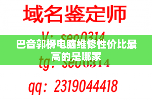 巴音郭楞电脑维修性价比最高的是哪家