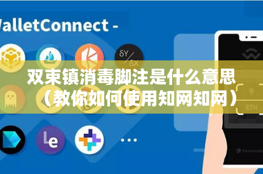 双束镇消毒脚注是什么意思（教你如何使用知网知网）