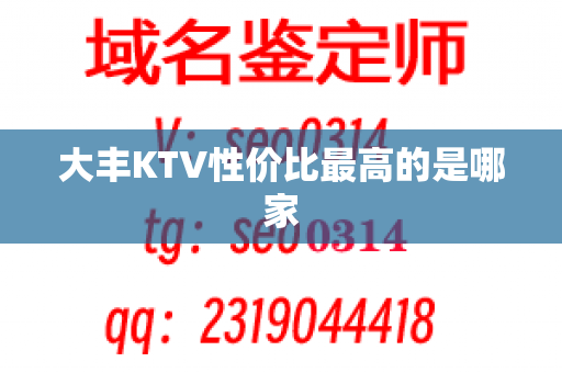 大丰KTV性价比最高的是哪家