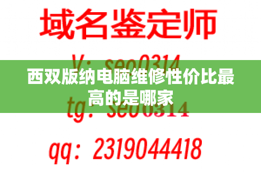 西双版纳电脑维修性价比最高的是哪家