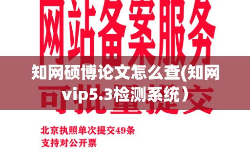 知网硕博论文怎么查(知网vip5.3检测系统）