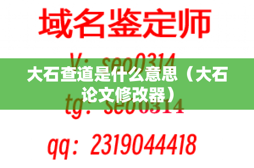 大石查道是什么意思（大石论文修改器）