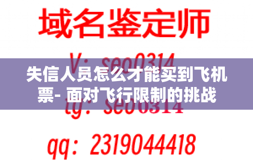 失信人员怎么才能买到飞机票- 面对飞行限制的挑战