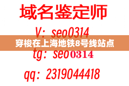 穿梭在上海地铁8号线站点