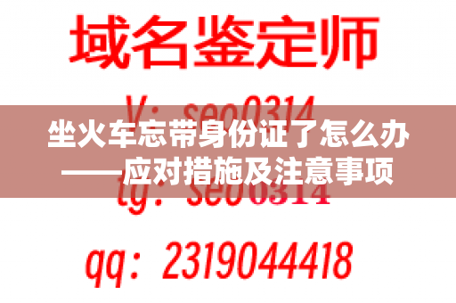 坐火车忘带身份证了怎么办——应对措施及注意事项