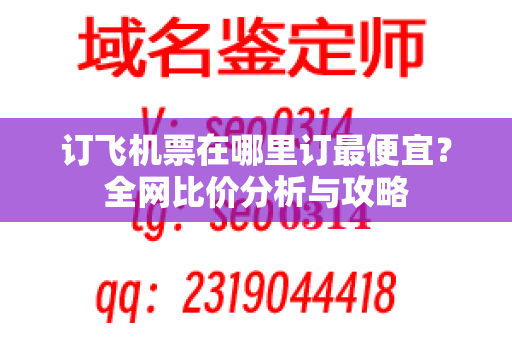 订飞机票在哪里订最便宜？全网比价分析与攻略