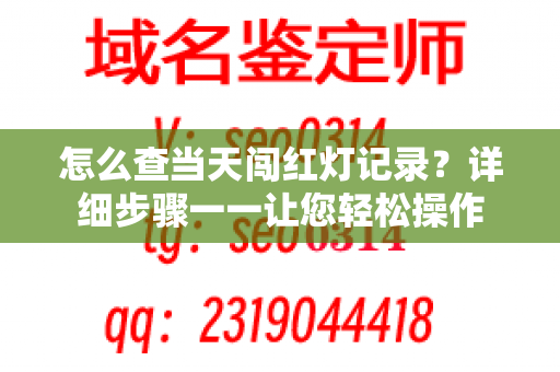 怎么查当天闯红灯记录？详细步骤一一让您轻松操作