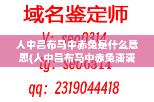 人中吕布马中赤兔是什么意思(人中吕布马中赤兔潇潇洒洒)